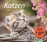 Cover-Bild zum Titel 'times&more Katzen Bildkalender 2027' von ''