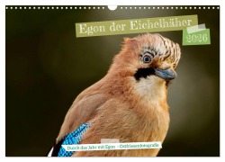 Cover-Bild zum Titel 'Egon der Eichelhäher - Durch das Jahr mit Egon - von Ostfriesenfotografie (Wandkalender 2026 DIN A3 quer), CALVENDO Monatskalender' von 'Christina Worch - Ostfriesenfotografie'
