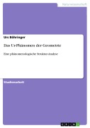 Cover-Bild zum Titel 'Geometrische Ur-Figur' von 'Urs Böhringer'