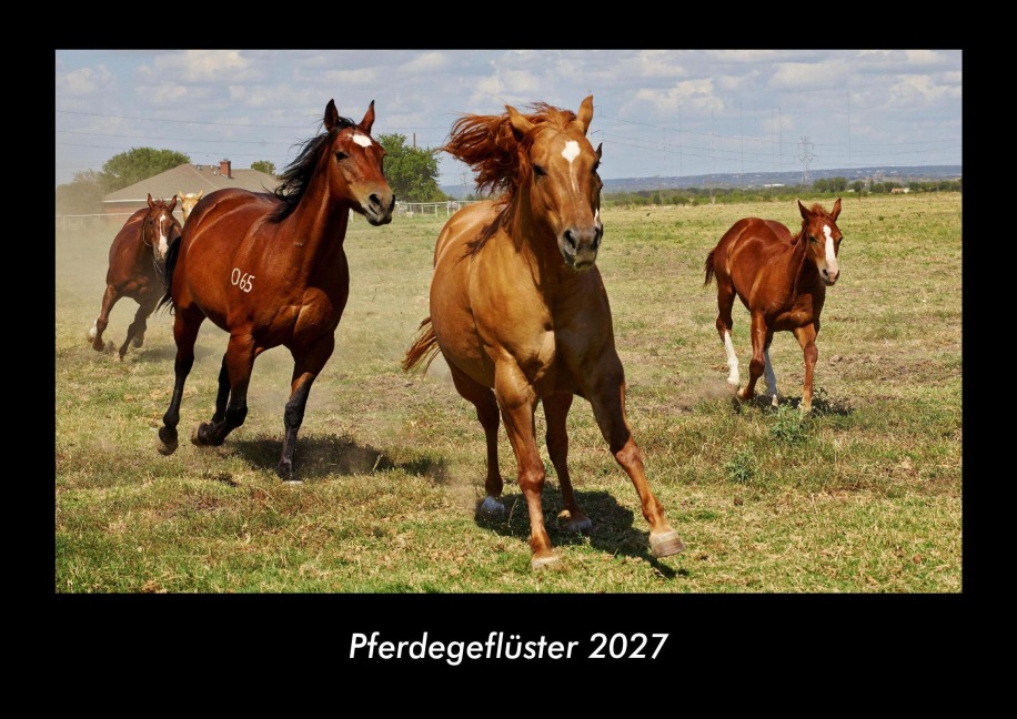 Pferdegeflüster 2027 Fotokalender DIN A3 - Tobias Becker