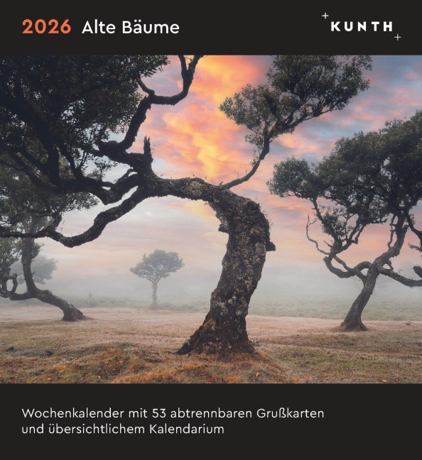 Alte Bäume - KUNTH Postkartenkalender 2026 - 