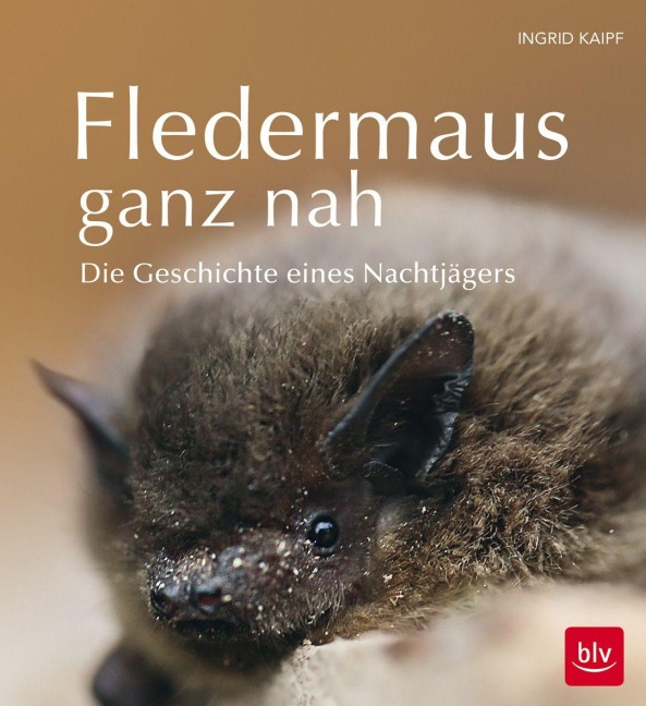 Fledermaus ganz nah - Ingrid Kaipf