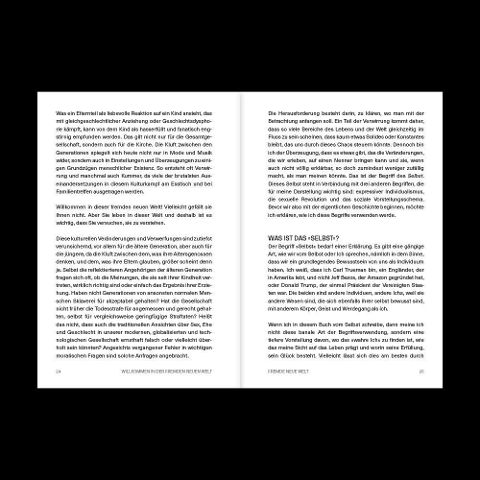 InsideView 4