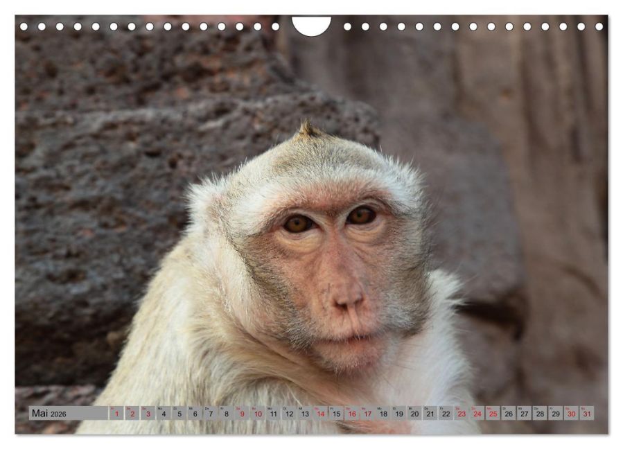InsideView 10