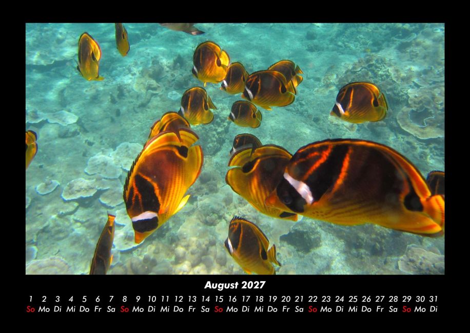 InsideView 12