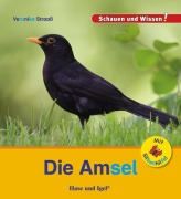 Cover-Bild zum Titel 'Die Amsel / Sonderausgabe mit Silbenhilfe' von 'Veronika Straaß'