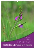 Deutschlands wilde Orchideen (Wandkalender 2025 DIN A2 hoch), CALVENDO Monatskalender - Sabine Löwer