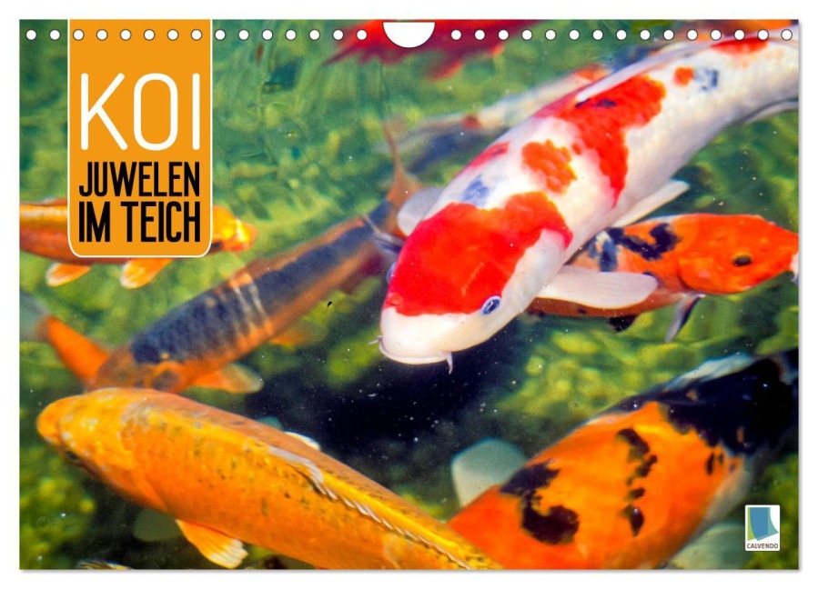 Koi: Juwelen im Teich (Wandkalender 2026 DIN A4 quer), CALVENDO Monatskalender - Calvendo Calvendo