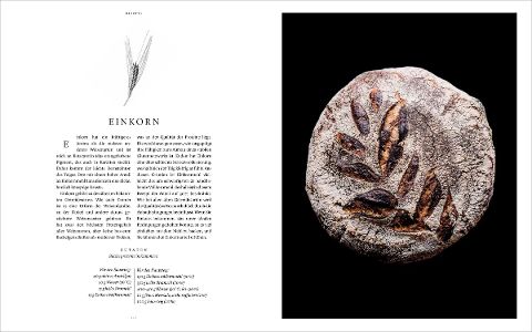InsideView 13