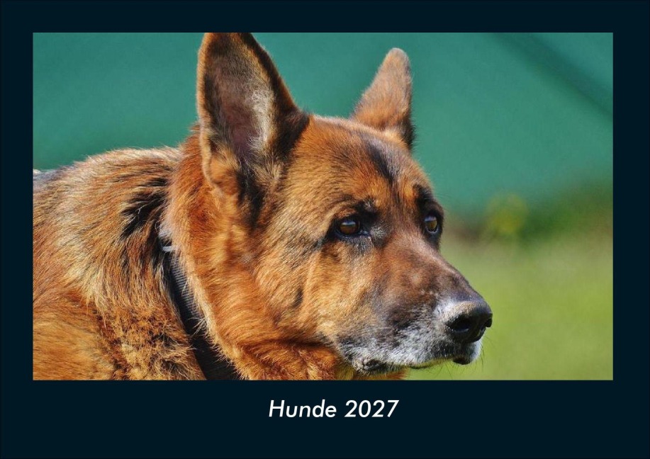 Hunde 2027 Fotokalender DIN A4 - Tobias Schmitt, Kevin Heber