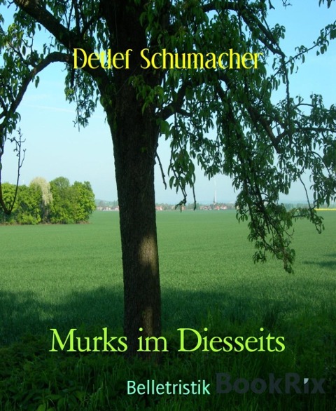 Murks im Diesseits - Detlef Schumacher