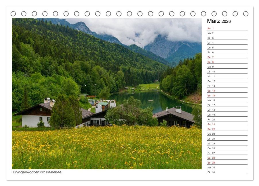 InsideView 8