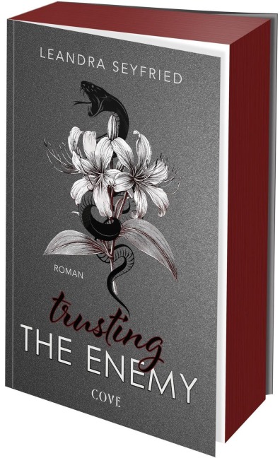 Trusting The Enemy (Sons of Chicago 2) - Leandra Seyfried