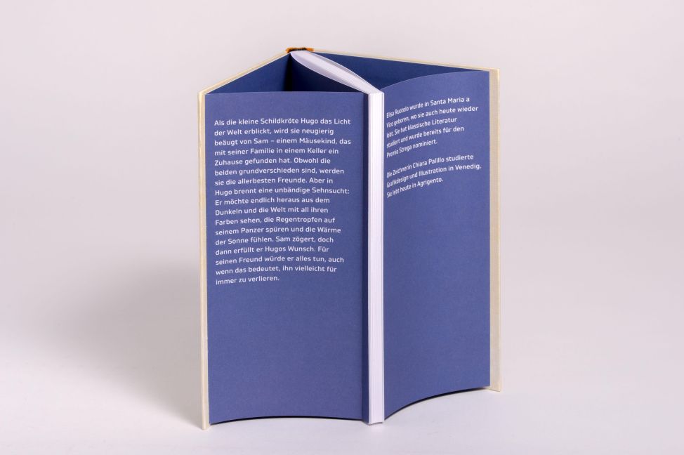 InsideView 4