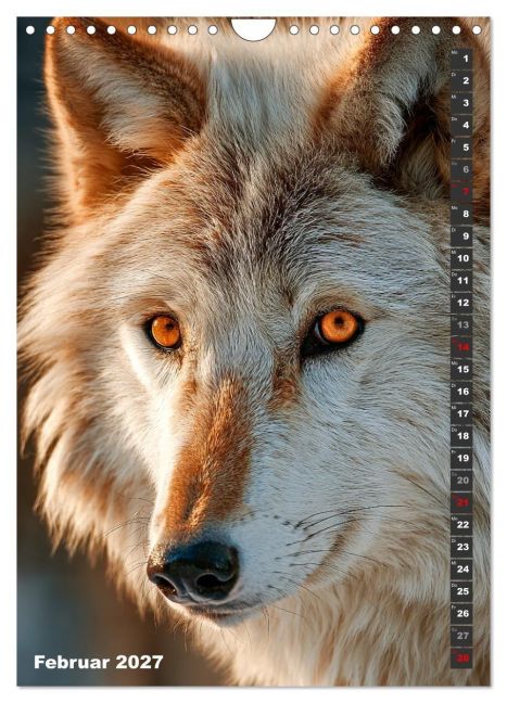 InsideView 7