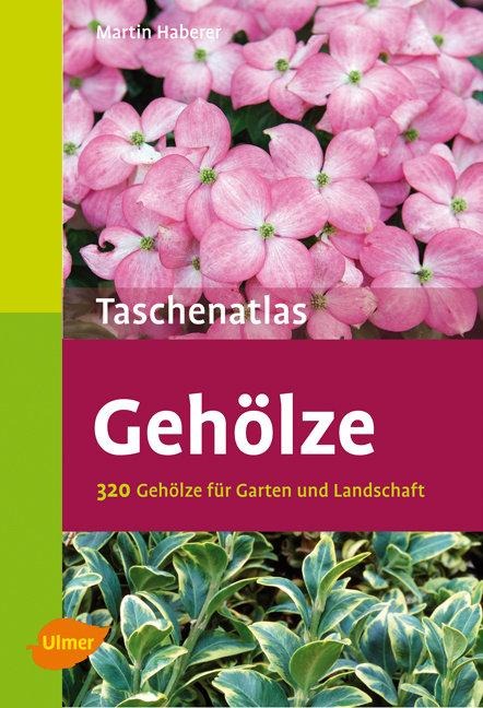 Taschenatlas Gehölze - Martin Haberer