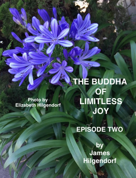 The Buddha of Limitless Joy: Episode Two - James Hilgendorf