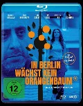 Cover-Bild zum Titel 'In Berlin wächst kein Orangenbaum' von 'Kida Khodr Ramadan, Juri Sternburg, Michael Beckmann, Thomas Stoewer'