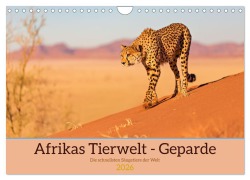 Cover-Bild zum Titel 'Afrikas Tierwelt - Geparde (Wandkalender 2026 DIN A4 quer), CALVENDO Monatskalender' von 'Michael Voß und Doris Jachalke'