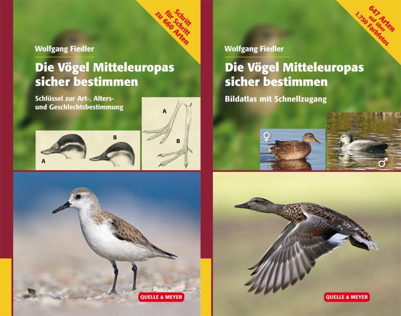 Die Vögel Europas sicher bestimmen - Wolfgang Fiedler