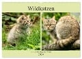 Wildkatzen - Die lautlosen Jäger des Waldes (Wandkalender 2024 DIN A2 quer), CALVENDO Monatskalender - Arno Klatt
