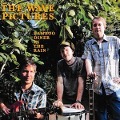 Cover-Bild zum Titel 'Bamboo Diner In The Rain' von 'The Wave Pictures'