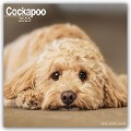 Cockapoo - Cockapoos 2025 - 16-Monatskalender - Avonside Publishing Ltd