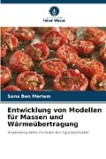 Cover-Bild zum Titel 'Entwicklung von Modellen für Massen und Wärmeübertragung' von 'Sana Ben Meriem'