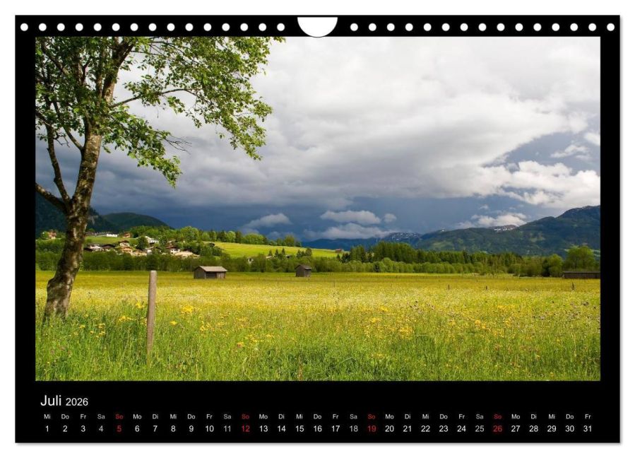 InsideView 12