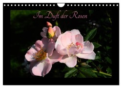 Cover-Bild zum Titel 'Im Duft der Rosen (Wandkalender 2026 DIN A4 quer), CALVENDO Monatskalender' von 'Heribert Saal'