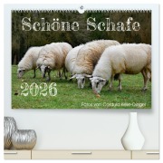 Schöne Schafe (hochwertiger Premium Wandkalender 2026 DIN A2 quer), Kunstdruck in Hochglanz - Cordula Kelle-Dingel