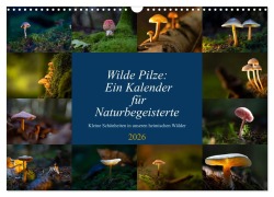 Cover-Bild zum Titel 'Wilde Pilze: Ein Kalender für Naturbegeisterte (Wandkalender 2026 DIN A3 quer), CALVENDO Monatskalender' von 'Thomas Heins'