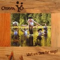 Cover-Bild zum Titel 'What Are Those For Songs!' von 'Otava Yo'