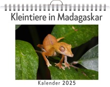 Cover-Bild zum Titel 'Kleintiere in Madagaskar - (Wandkalender 2025, Kalender DIN A4 quer, Monatskalender im Querformat mit Kalendarium, das perfekte Geschenk)' von 'Anton Friedrich'