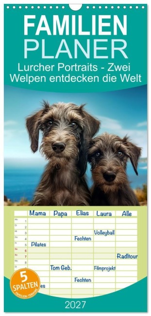 Familienplaner 2027 - Lurcher Portraits - Zwei Welpen entdecken die Welt mit 5 Spalten (Wandkalender, 21 x 45 cm) CALVENDO - Kerstin Hesse