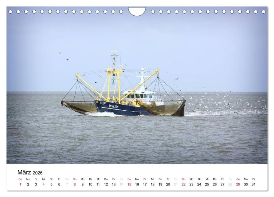 InsideView 8