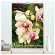 Cover-Bild zum Titel 'Kleine Orchideenschätze (hochwertiger Premium Wandkalender 2026 DIN A2 hoch), Kunstdruck in Hochglanz' von 'Gisela Kruse'