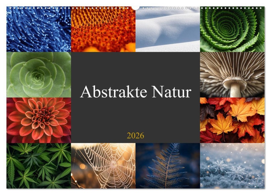 Abstrakte Natur (Wandkalender 2026 DIN A2 quer), CALVENDO Monatskalender - Susan Michel