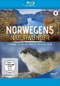 Norwegens Naturwunder: Die kleinen Giganten des Nordens & Magie der Fjorde - 