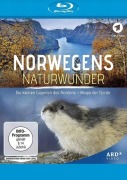 Cover-Bild zum Titel 'Norwegens Naturwunder: Die kleinen Giganten des Nordens & Magie der Fjorde' von ''