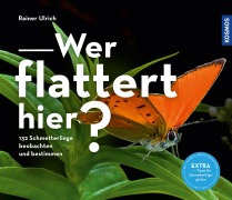 Cover-Bild zum Titel 'Wer flattert hier' von 'Rainer Ulrich'