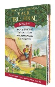 Cover-Bild zum Titel 'Magic Tree House Books 1-4 Boxed Set' von 'Mary Pope Osborne'