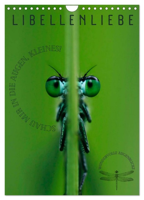 LibellenLiebe - Schau mir in die Augen, Kleines! (Wandkalender 2026 DIN A4 hoch), CALVENDO Monatskalender - Kirsten d'Angelo - soulimages