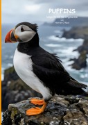 Cover-Bild zum Titel 'Puffins lange Reise ins Ungewisse' von 'Harriet O'Neal'