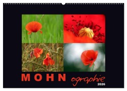 Cover-Bild zum Titel 'MOHNographie (Wandkalender 2026 DIN A2 quer), CALVENDO Monatskalender' von 'Angelika Giessl'