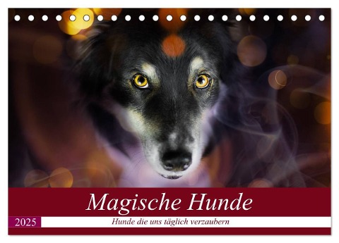 Magische Hunde - Hunde die uns täglich verzaubern (Tischkalender 2025 DIN A5 quer), CALVENDO Monatskalender - Andrea Mayer Tierfotografie