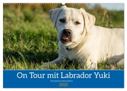 On Tour mit Labrador Yuki (Wandkalender 2025 DIN A2 quer), CALVENDO Monatskalender - Jana K. Fotografie