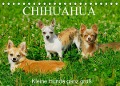 Chihuahua - Kleine Hunde ganz groß (Tischkalender 2022 DIN A5 quer) - Sigrid Starick