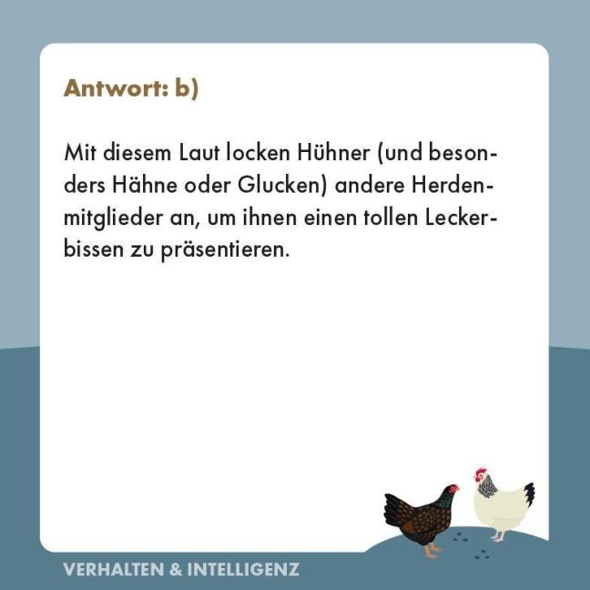InsideView 4