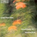 Cover-Bild zum Titel 'Streichquartette Vol.1' von 'Quartetto David'